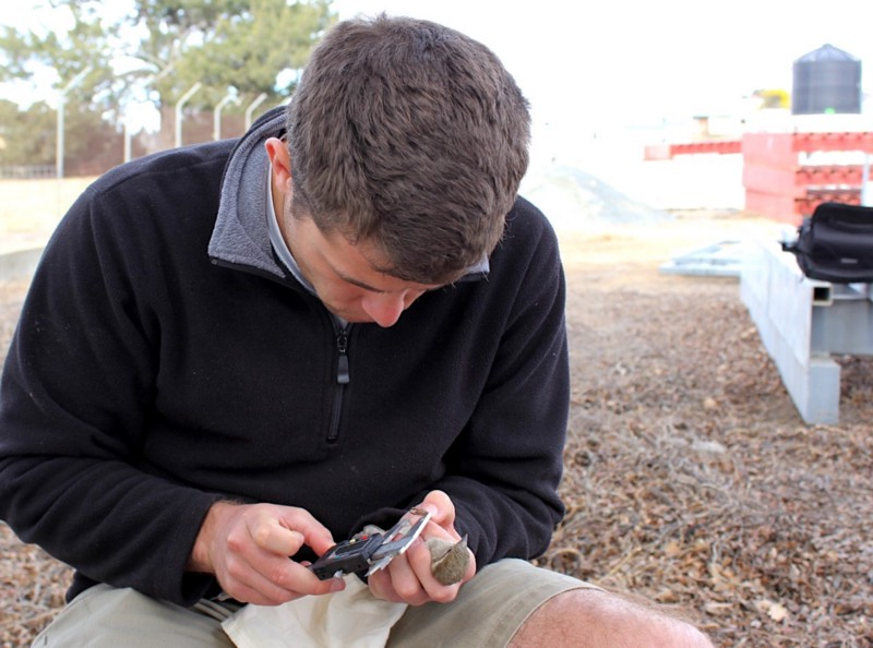 Samuel Andrew measures a sparrow. Source: Monica Awasthy